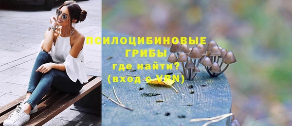 ПСИЛОЦИБИНОВЫЕ ГРИБЫ Богородск